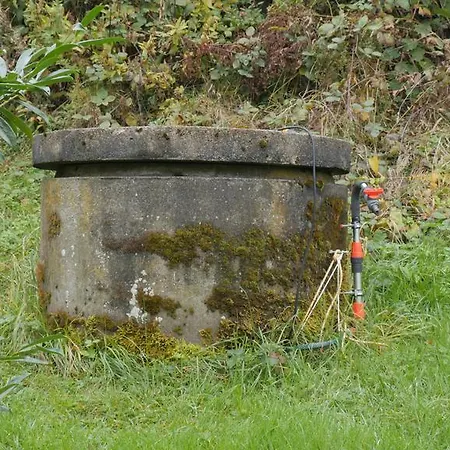 호텔 Zur Post 비다