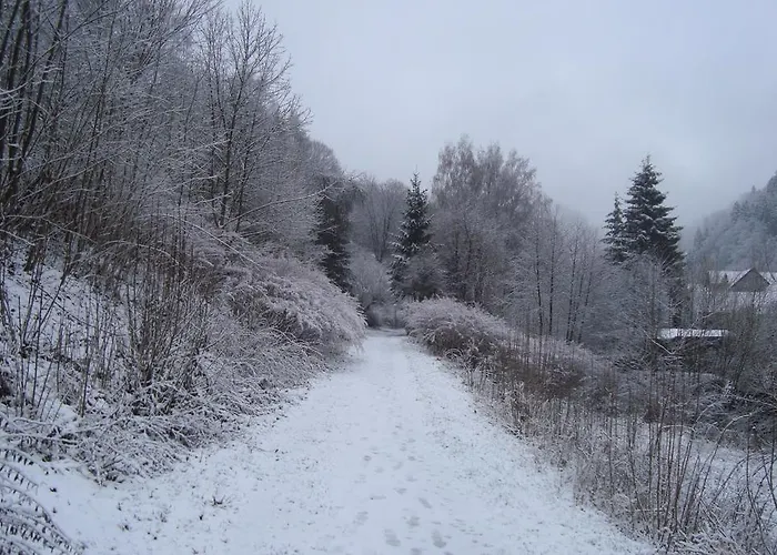 Zur Post ホテル Wieda